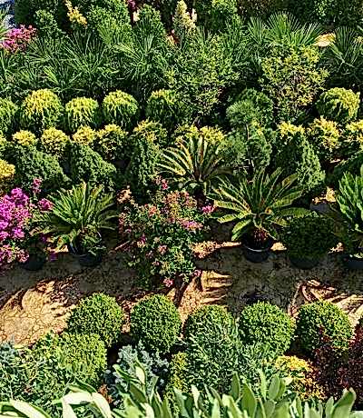 bit-ihracati bit-ihracati