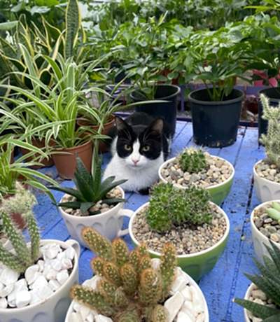 perakende-1 perakende-1