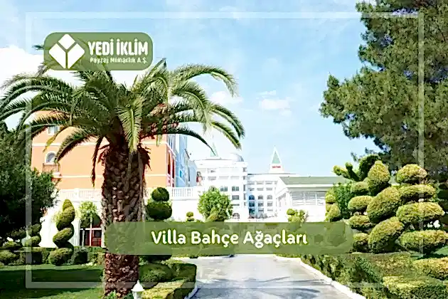 Villa Bahçe Ağaçları