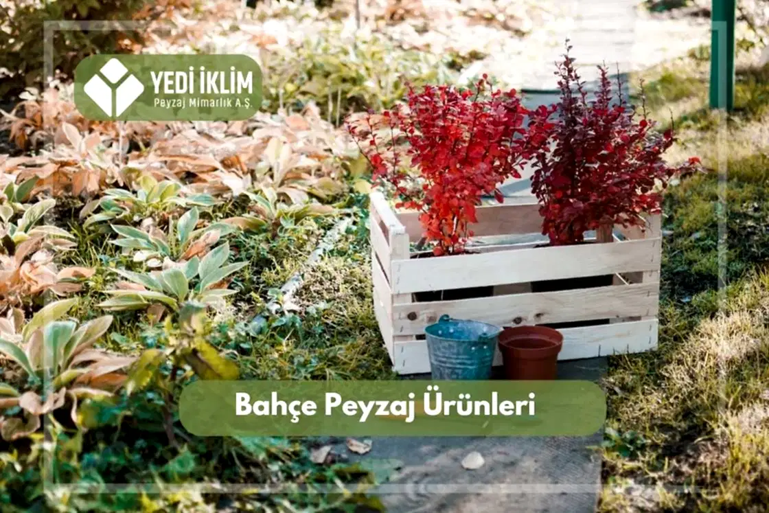 Bahçe Peyzaj Ürünleri