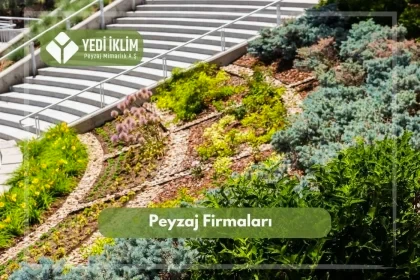 Peyzaj Firmaları
