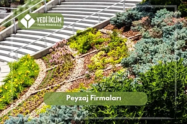 Peyzaj Firmaları