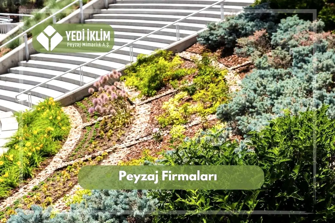 Peyzaj Firmaları