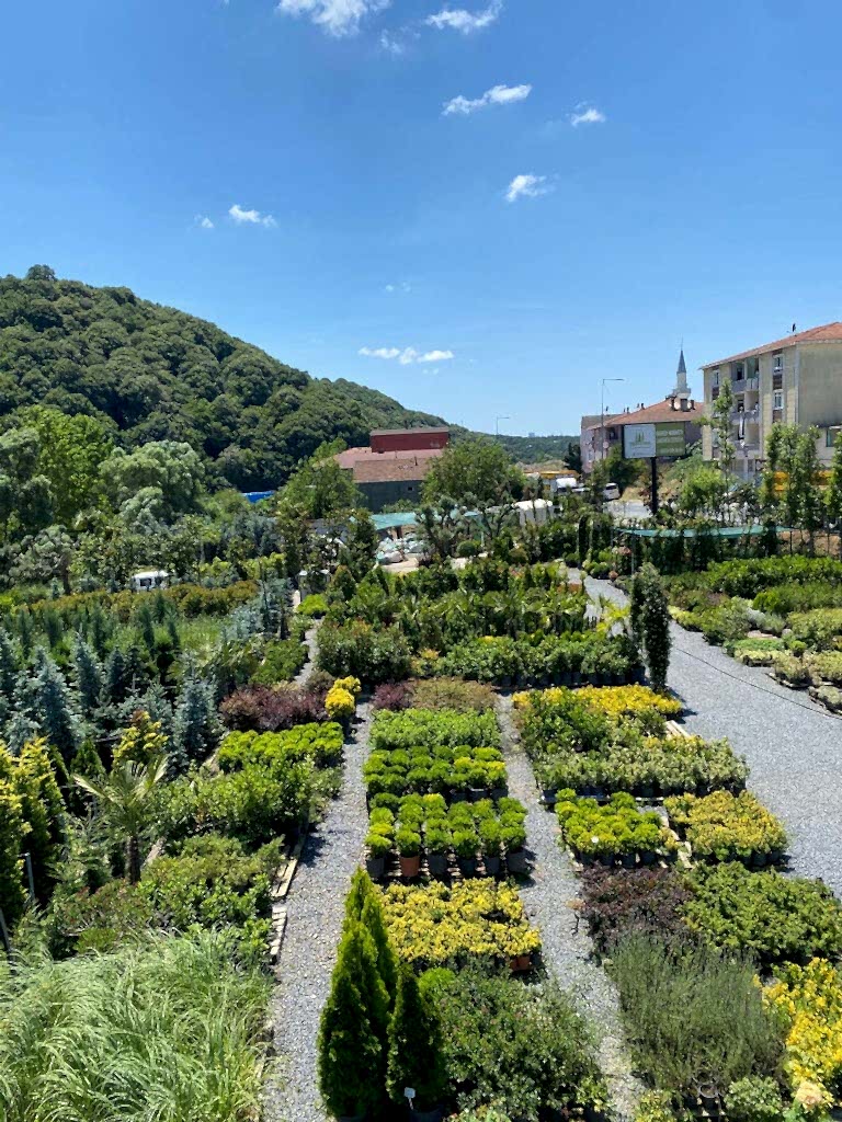 yediiklim-hakkimizda yediiklim-hakkimizda