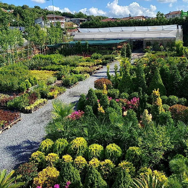 yediiklim-peyzaj-index yediiklim-peyzaj-index