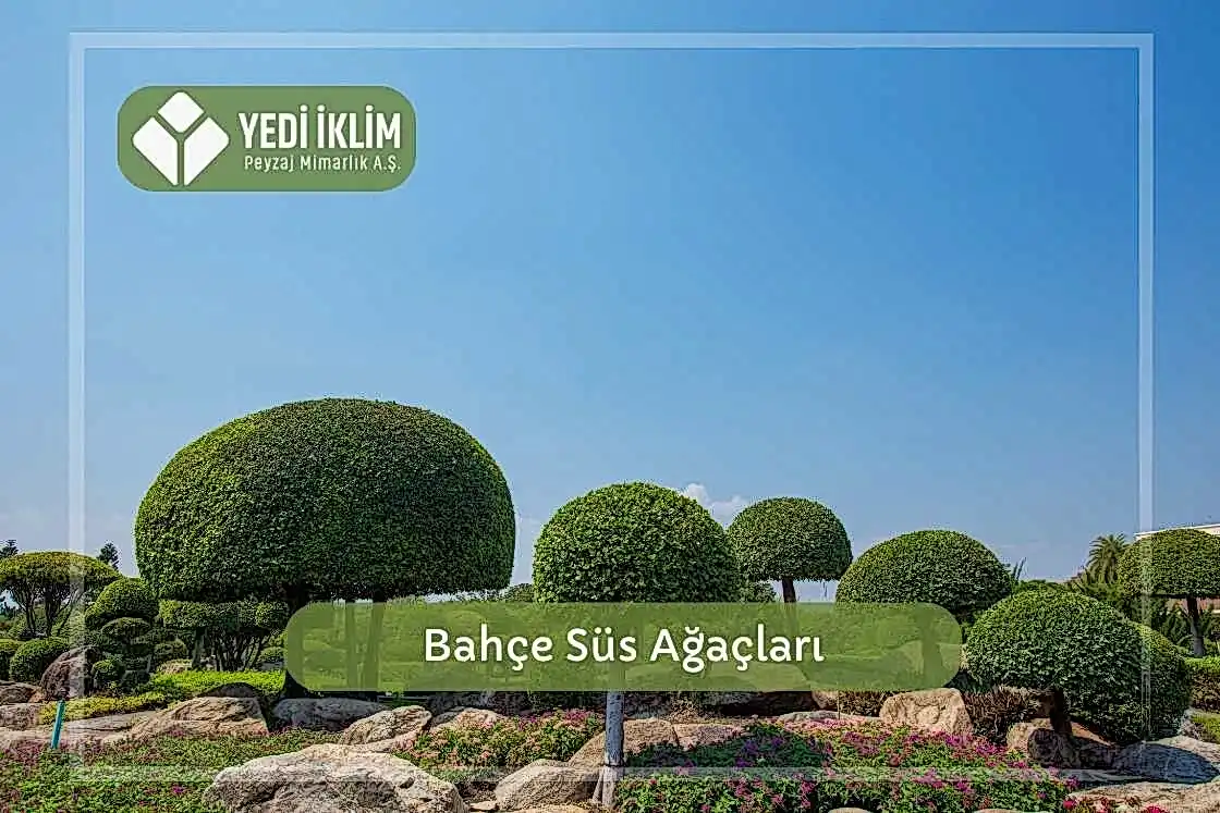 Bahçe Süs Ağaçları