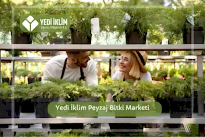 Yedi İklim Peyzaj ile Bitki Marketi