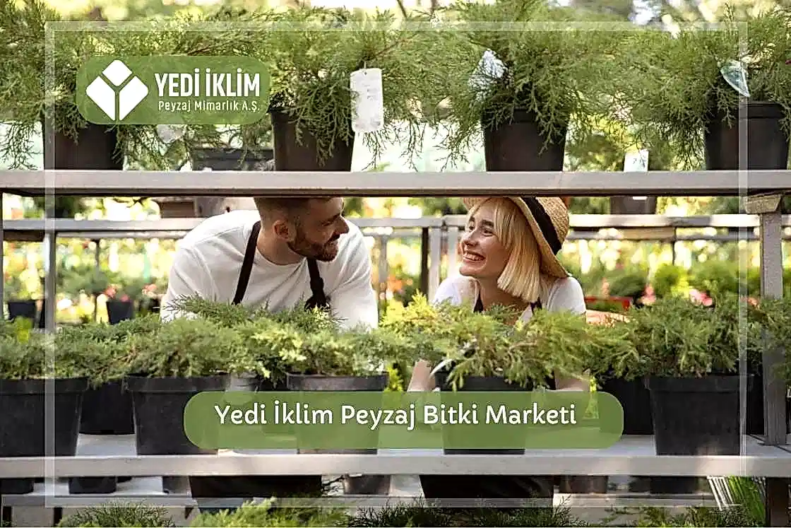 Yedi İklim Peyzaj ile Bitki Marketi