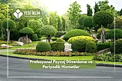 Profesyonel Peyzaj Düzenleme ve Periyodik Hizmetler
