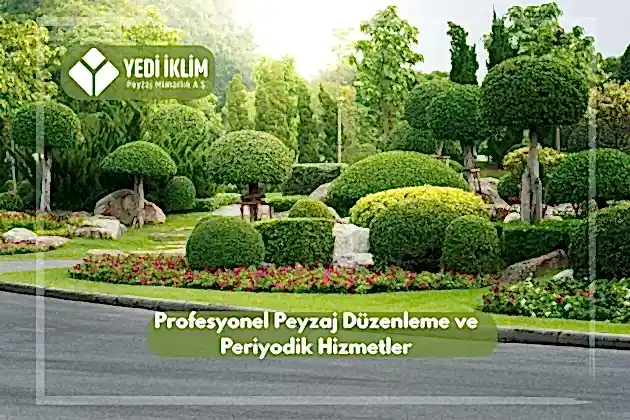 Profesyonel Peyzaj Düzenleme ve Periyodik Hizmetler