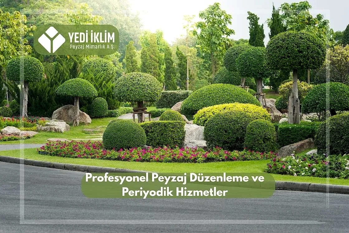 Profesyonel Peyzaj Düzenleme ve Periyodik Hizmetler