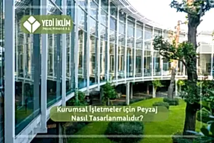Kurumsal İşletmeler için Peyzaj Nasıl Tasarlanmalıdır?
