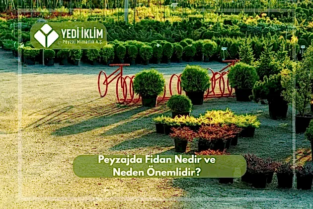 Peyzaj Fidanı Nedir ve Neden Önemlidir?