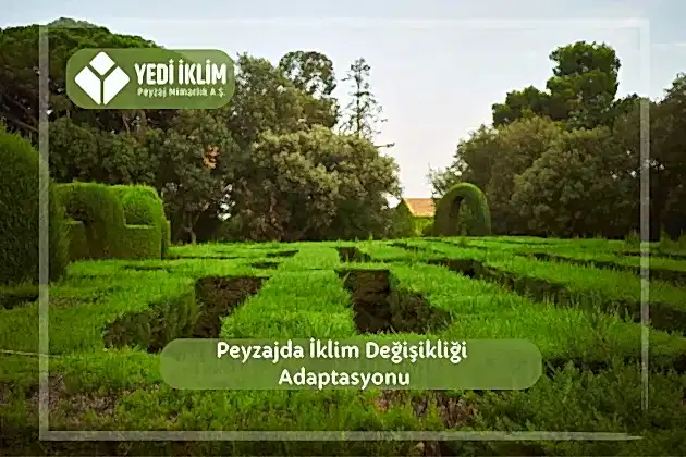 Peyzajda İklim Değişikliği Adaptasyonu