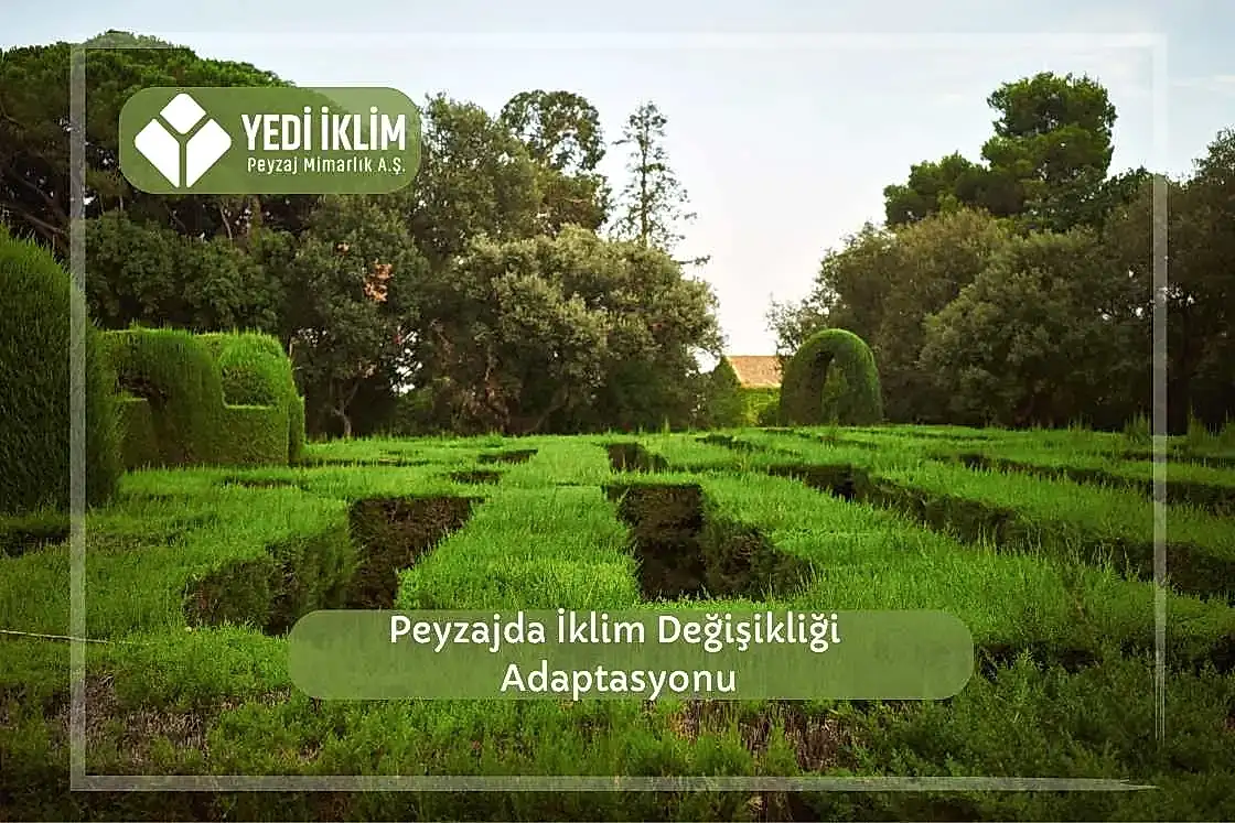 Peyzajda İklim Değişikliği Adaptasyonu