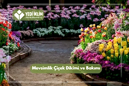 Mevsimlik Çiçek Dikimi ve Bakımı