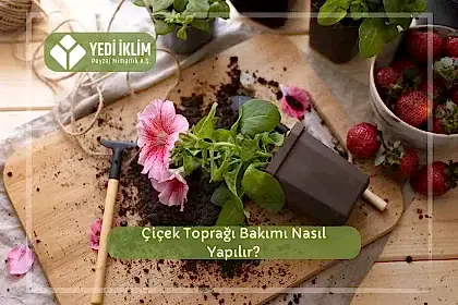 Çiçek Toprağı Bakımı Nasıl Yapılır?