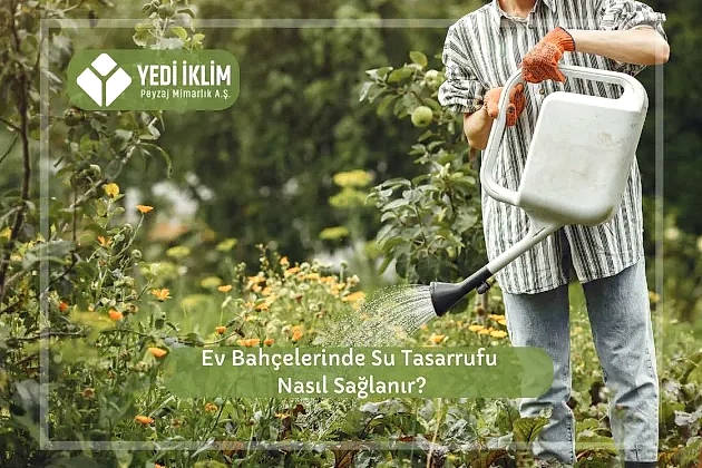 Ev Bahçelerinde Su Tasarrufu Nasıl Sağlanır?