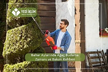 Bahar Aylarında Ağaç Budama Zamanı ve Bakım Rehberi