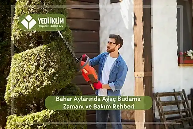 Bahar Aylarında Ağaç Budama Zamanı ve Bakım Rehberi