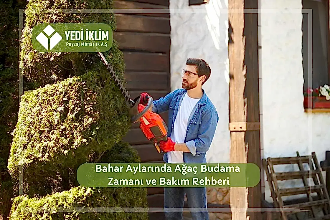 Bahar Aylarında Ağaç Budama Zamanı ve Bakım Rehberi