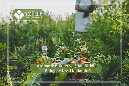Aromatik Bitkiler ve Şifalı Bitkiler Bahçede Nasıl Kullanılır?