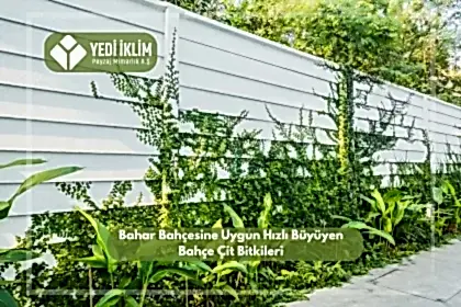 Bahar Bahçesine Uygun Hızlı Büyüyen Bahçe Çit Bitkileri