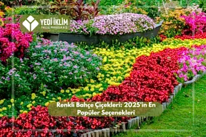 Renkli Bahçe Çiçekleri 2025'in En Popüler Seçenekleri