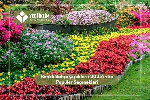 Renkli Bahçe Çiçekleri 2025'in En Popüler Seçenekleri