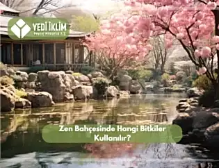 Zen Bahçesinde Hangi Bitkiler Kullanılır?