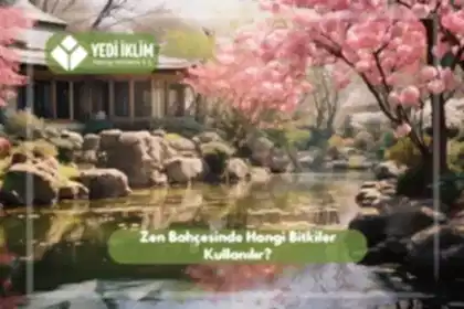 Zen Bahçesinde Hangi Bitkiler Kullanılır?