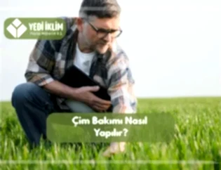 Çim Bakımı Nasıl Yapılır?