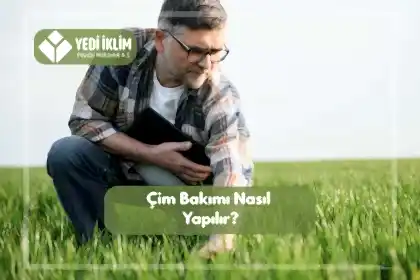 Çim Bakımı Nasıl Yapılır?
