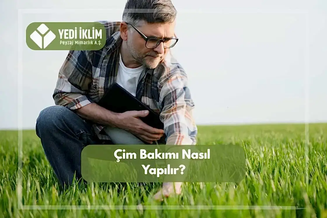 Çim Bakımı Nasıl Yapılır?