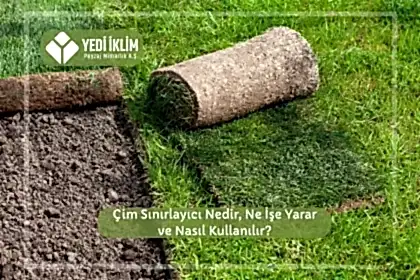 Çim Sınırlayıcı Nedir, Ne İşe Yarar ve Nasıl Kullanılır?