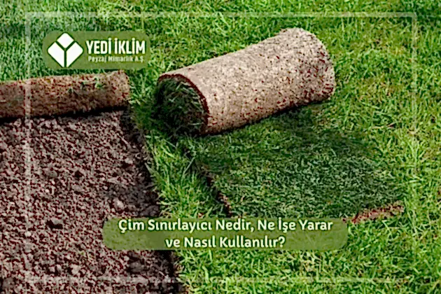 Çim Sınırlayıcı Nedir, Ne İşe Yarar ve Nasıl Kullanılır?