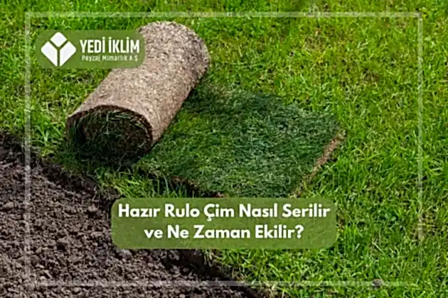 Hazır Rulo Çim Nasıl Serilir ve Ne Zaman Ekilir?