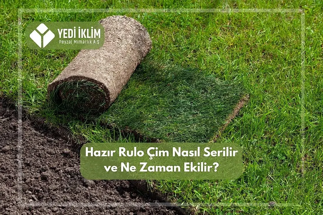 Hazır Rulo Çim Nasıl Serilir ve Ne Zaman Ekilir?