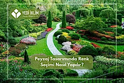 Peyzaj Tasarımında Renk Seçimi Nasıl Yapılır?
