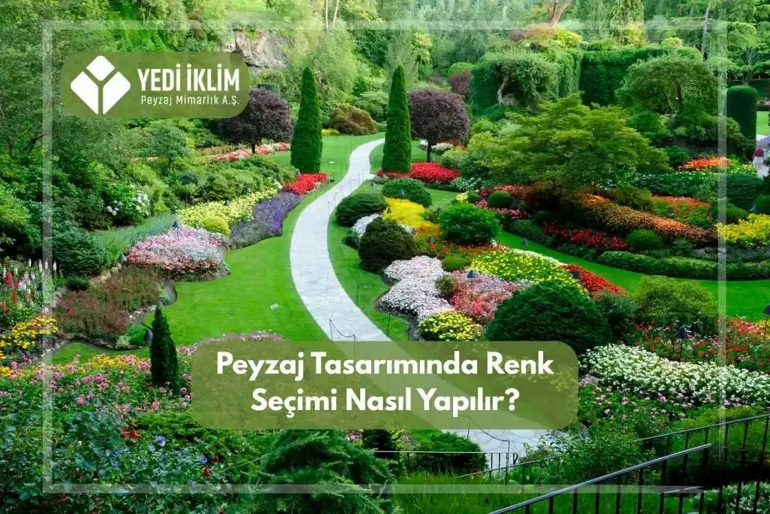 Peyzaj Tasarımında Renk Seçimi Nasıl Yapılır?