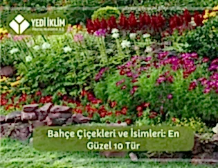 Bahçe Çiçekleri ve İsimleri 1