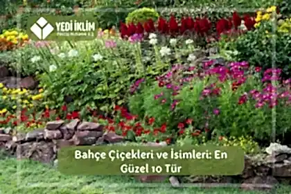 Bahçe Çiçekleri ve İsimleri 1