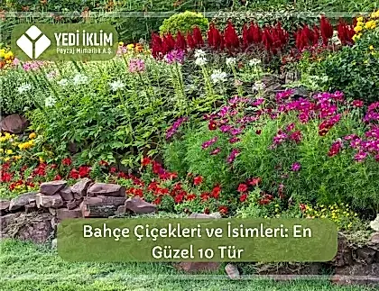 Bahçe Çiçekleri ve İsimleri 1