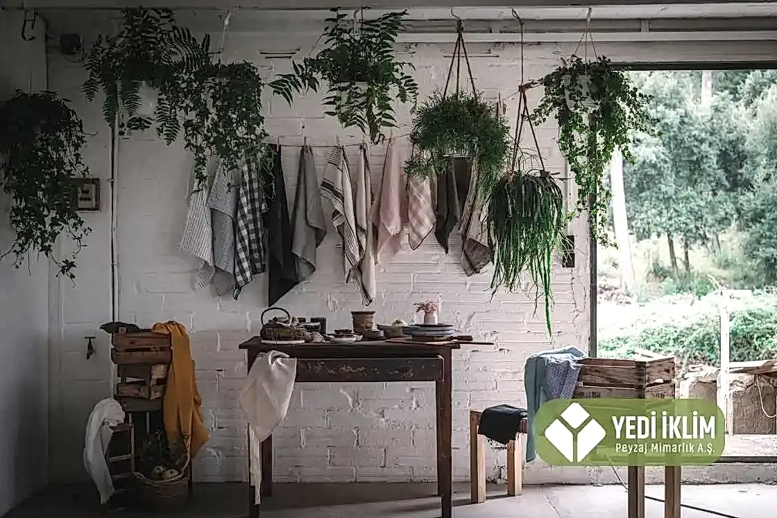 Gölgede Yetişen Saksı Çiçekler