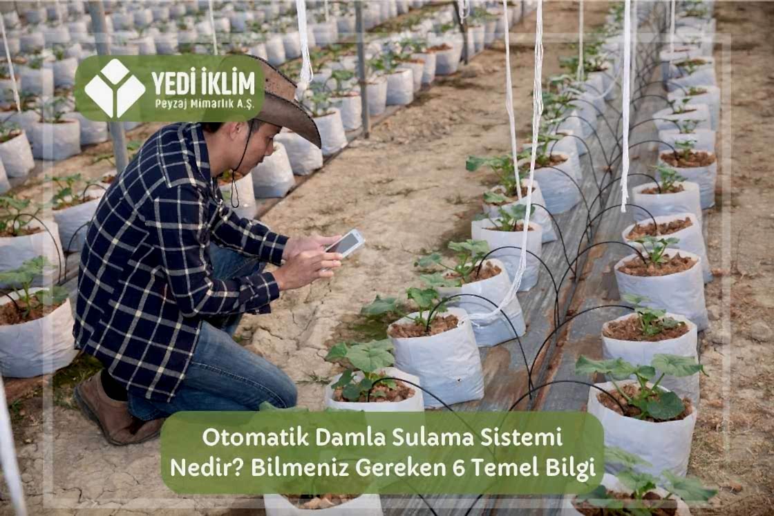 Otomatik Damla Sulama Sistemi